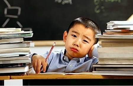 来自小升初家长的自白：谁说我们不是疯子？